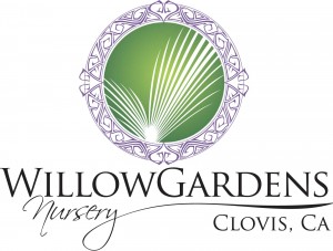 Willow-Gardens-Nursery-Logo