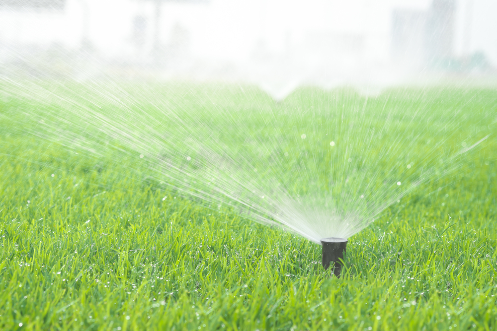 Artificial grass is a great way to save water in Fresno
