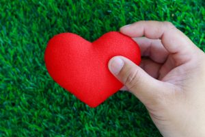 A hand holding a red, velvet heart over artificial grass